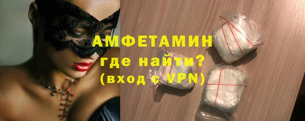 прущие грибы Гвардейск