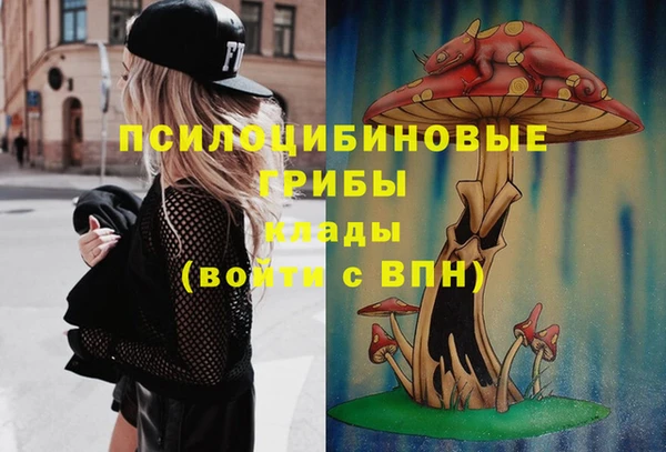 кокаин премиум Няндома