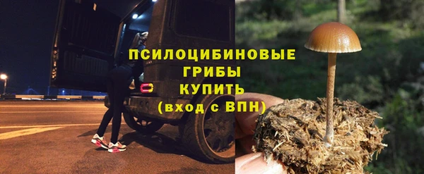 не бодяженный Переславль-Залесский