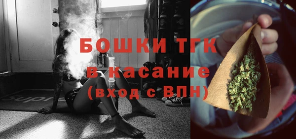 ГАЛЛЮЦИНОГЕННЫЕ ГРИБЫ Осташков